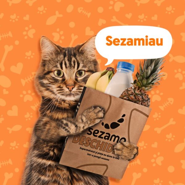 Pisicile domină achizițiile din pet shop-ul supermarketului online Sezamo, reprezentând 77% din vânzările categoriei